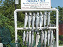 Originator Fishing Charter :: Photo Gallery