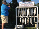 Originator Fishing Charter :: Photo Gallery